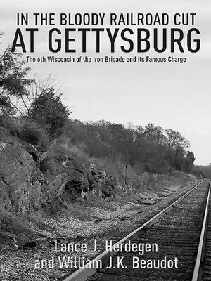 cover image of In the Bloody Railroad Cut at Gettysburg